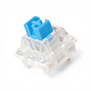 Module Clicker Switch Clicker Switch