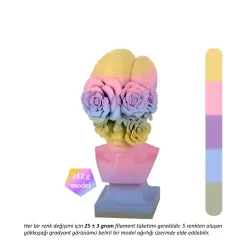 Apex Rainbow PLA+ Filament Mercan Diyarı